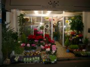 「鈴木花店」　（東京都世田谷区）の花屋店舗写真1